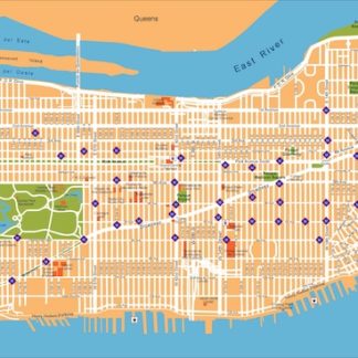 new york vector map