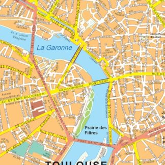 Toulouse vector map